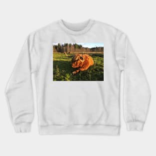 Scottish Highland Cattle Cow 2148 Crewneck Sweatshirt